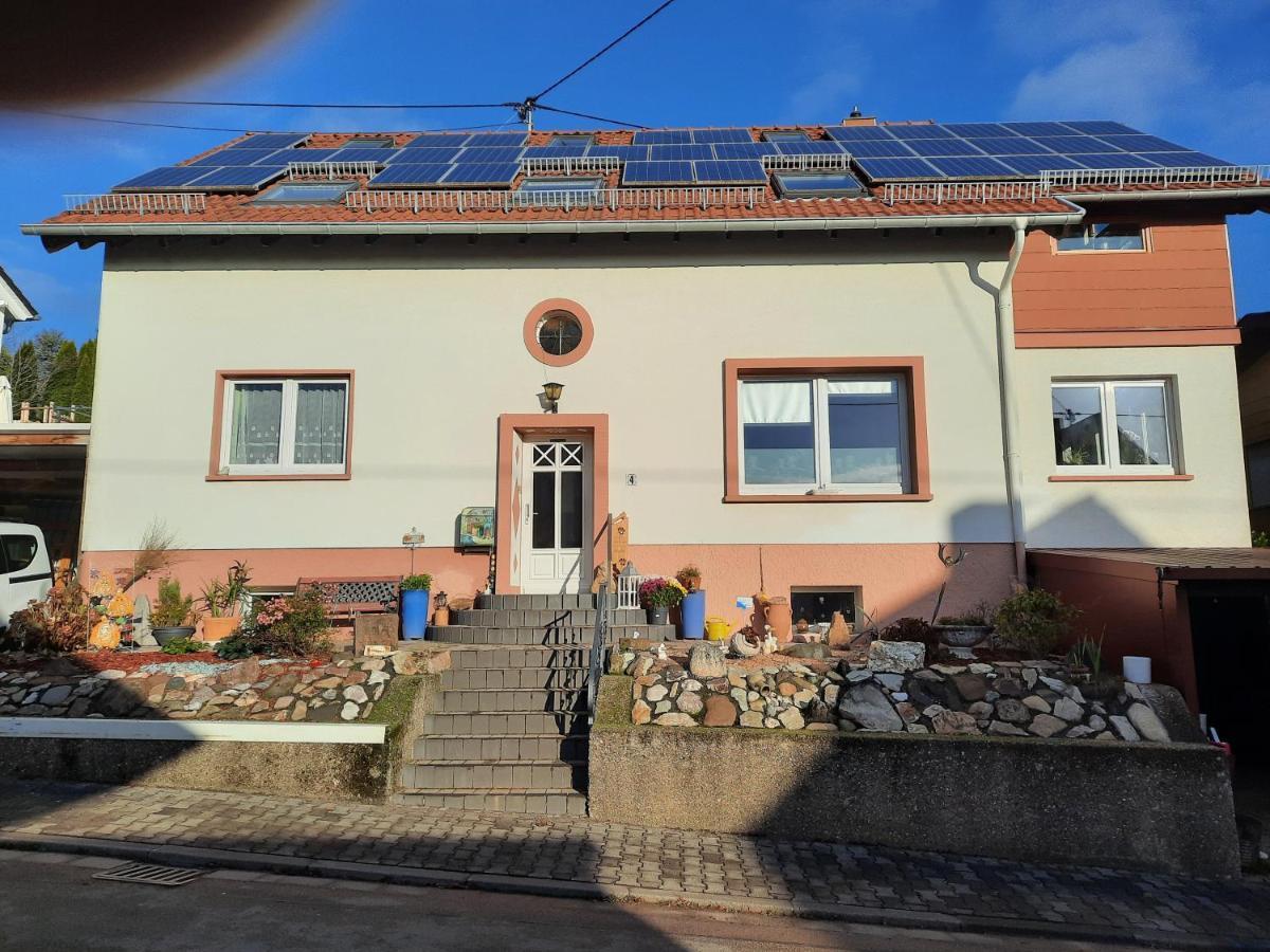 Ferienwohnung Friedel Und Kaethe Oberthal Luaran gambar